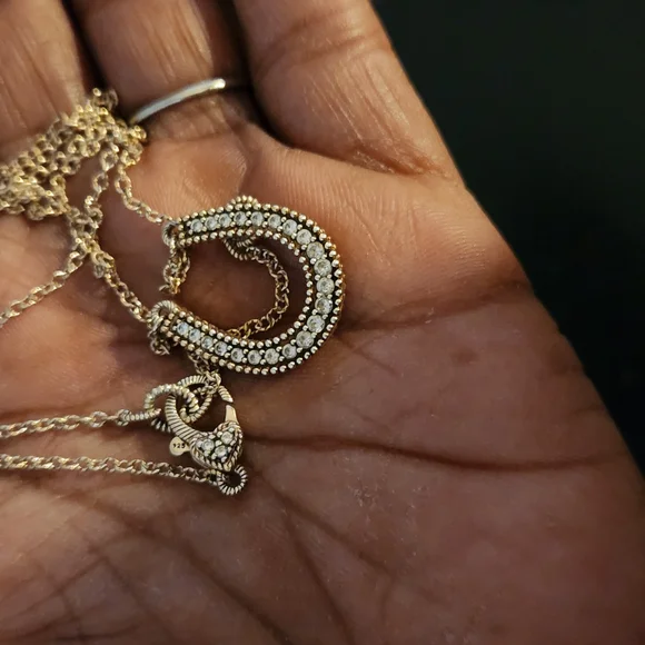 Judith Ripka 18inch Horseshoe Necklace - Picture 8 of 16